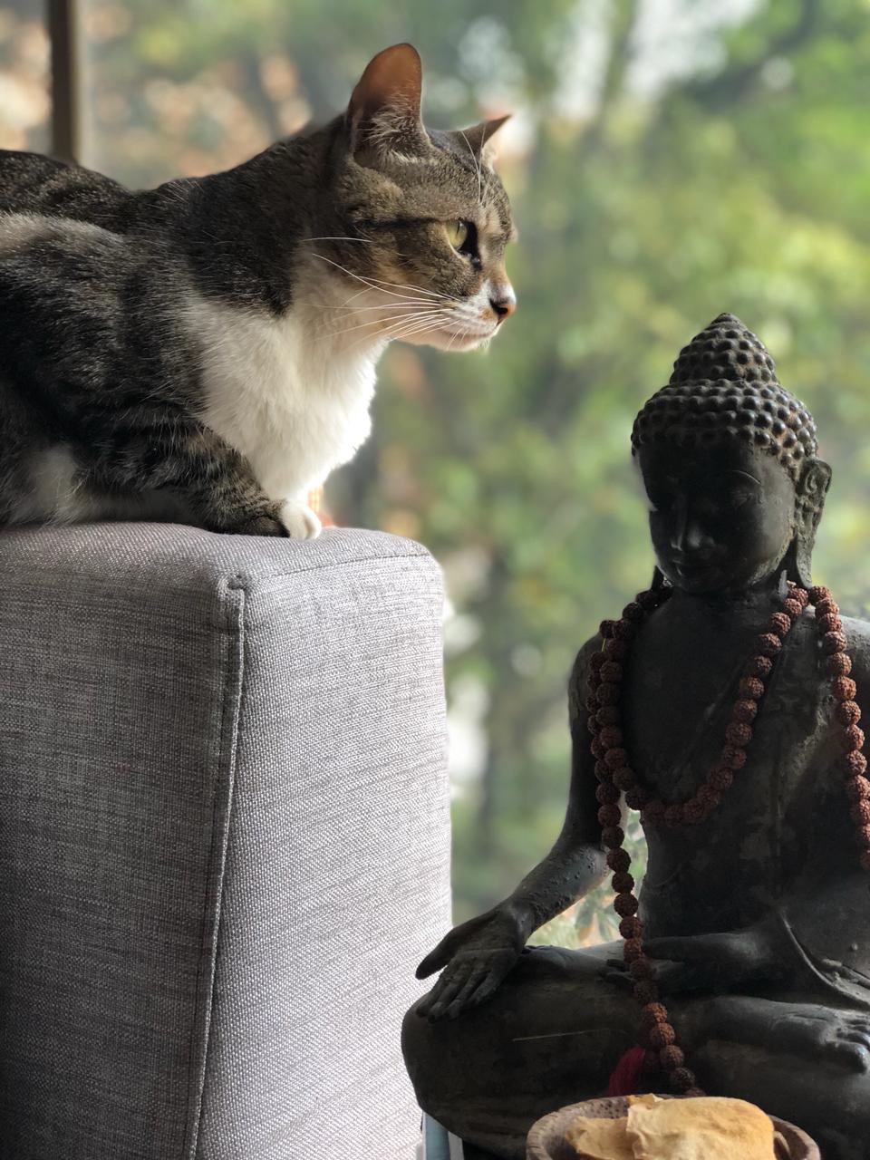 Hasta pronto ··· compañero de&nbsp;viaje